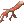 Galho Sangrento