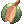 Fruta Espinhosa