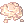 Bactérias