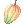Cacau