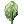 Ectoplasma