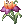 Flor de Valhalla