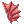 Nadadeira
