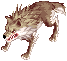 Lobo do Deserto