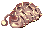 Lagarta