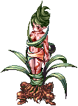 Dríade