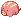 Bebê Selvagem